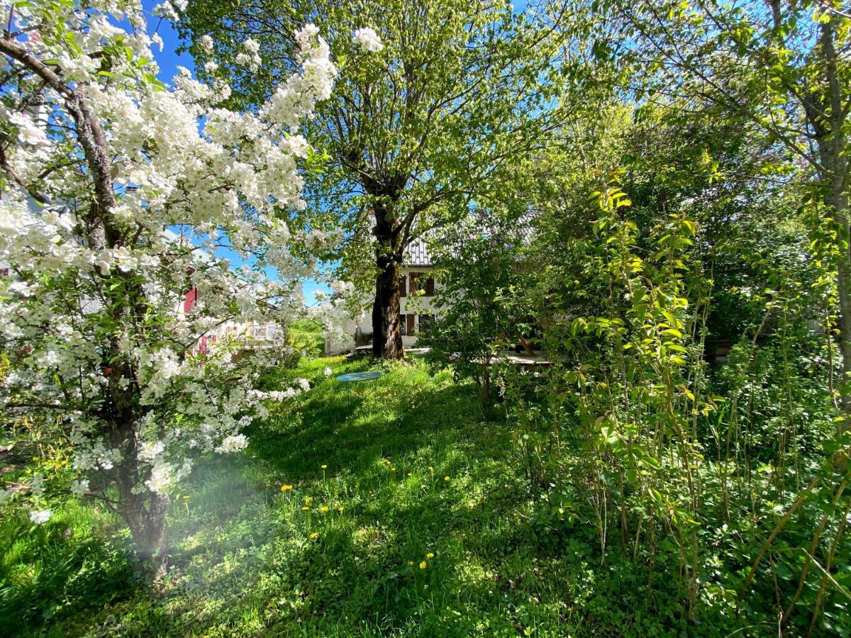 Ferme Des Deux Freres, Autrans, Vercors Экстерьер фото
