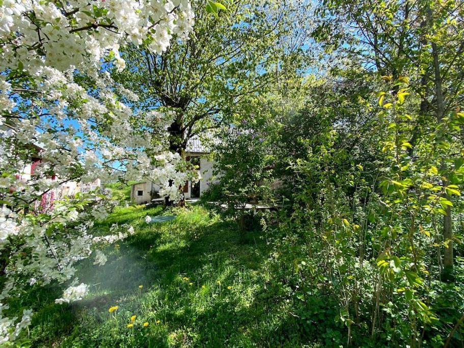 Ferme Des Deux Freres, Autrans, Vercors Экстерьер фото