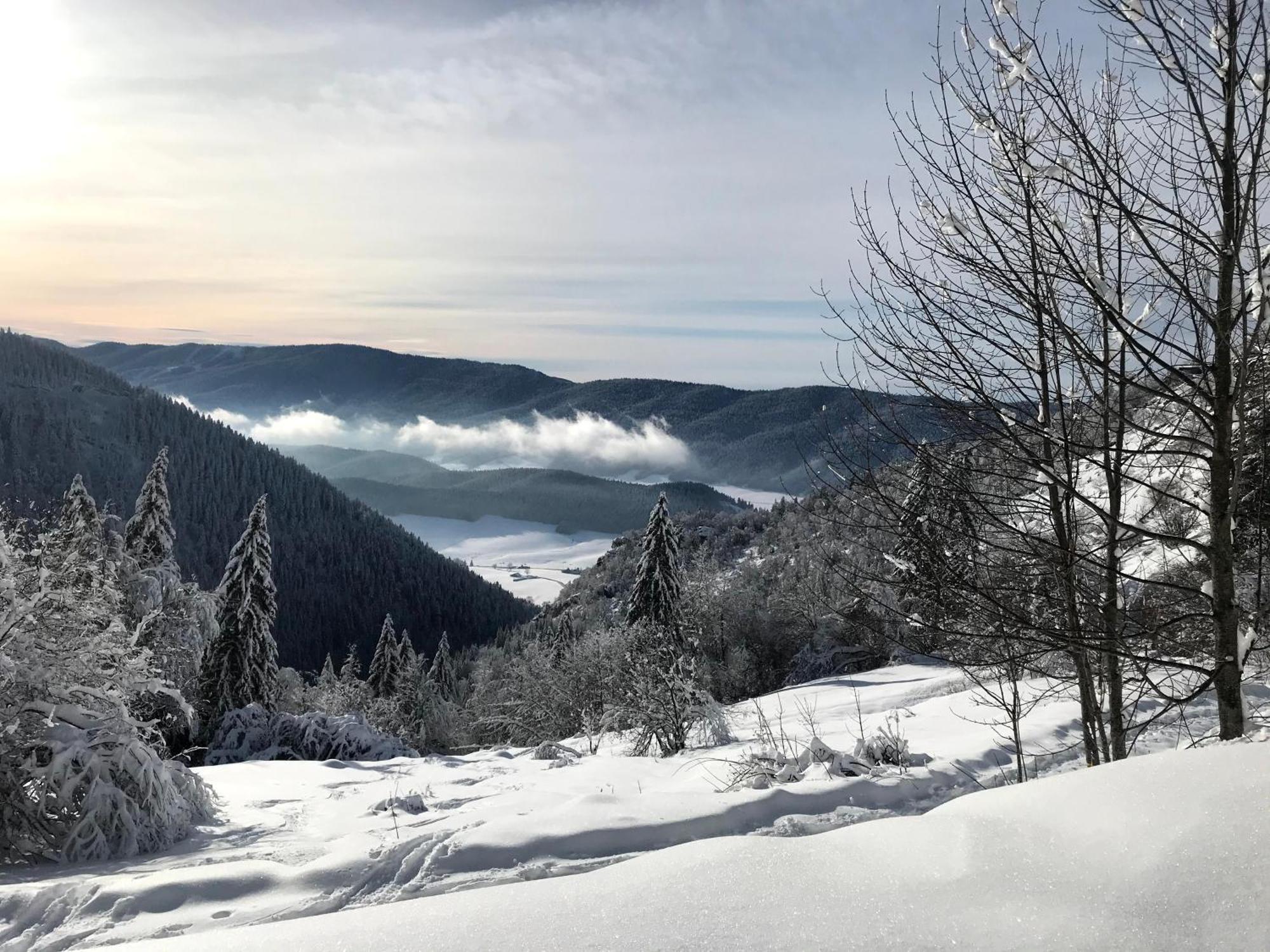 Ferme Des Deux Freres, Autrans, Vercors Экстерьер фото