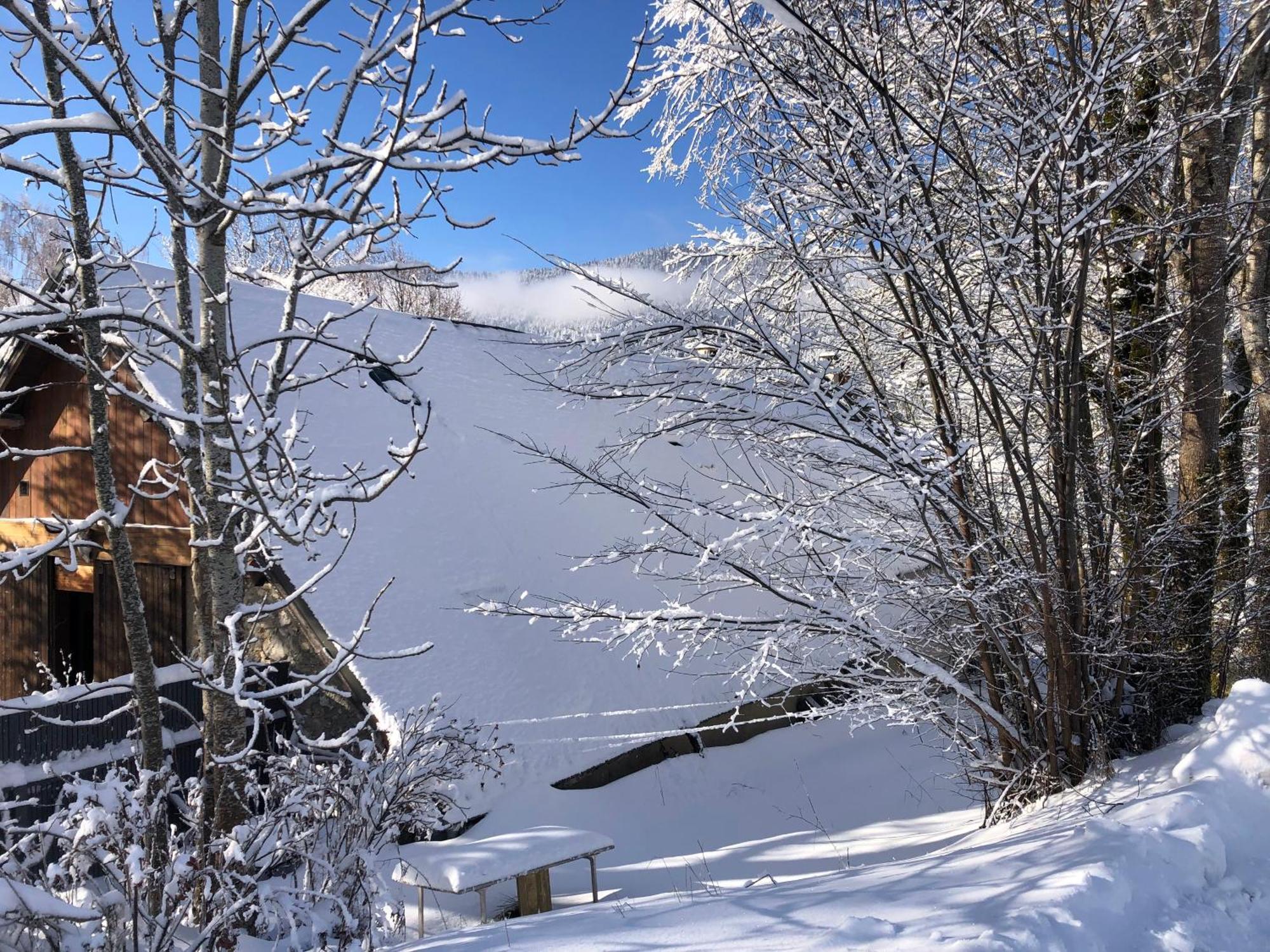 Ferme Des Deux Freres, Autrans, Vercors Экстерьер фото