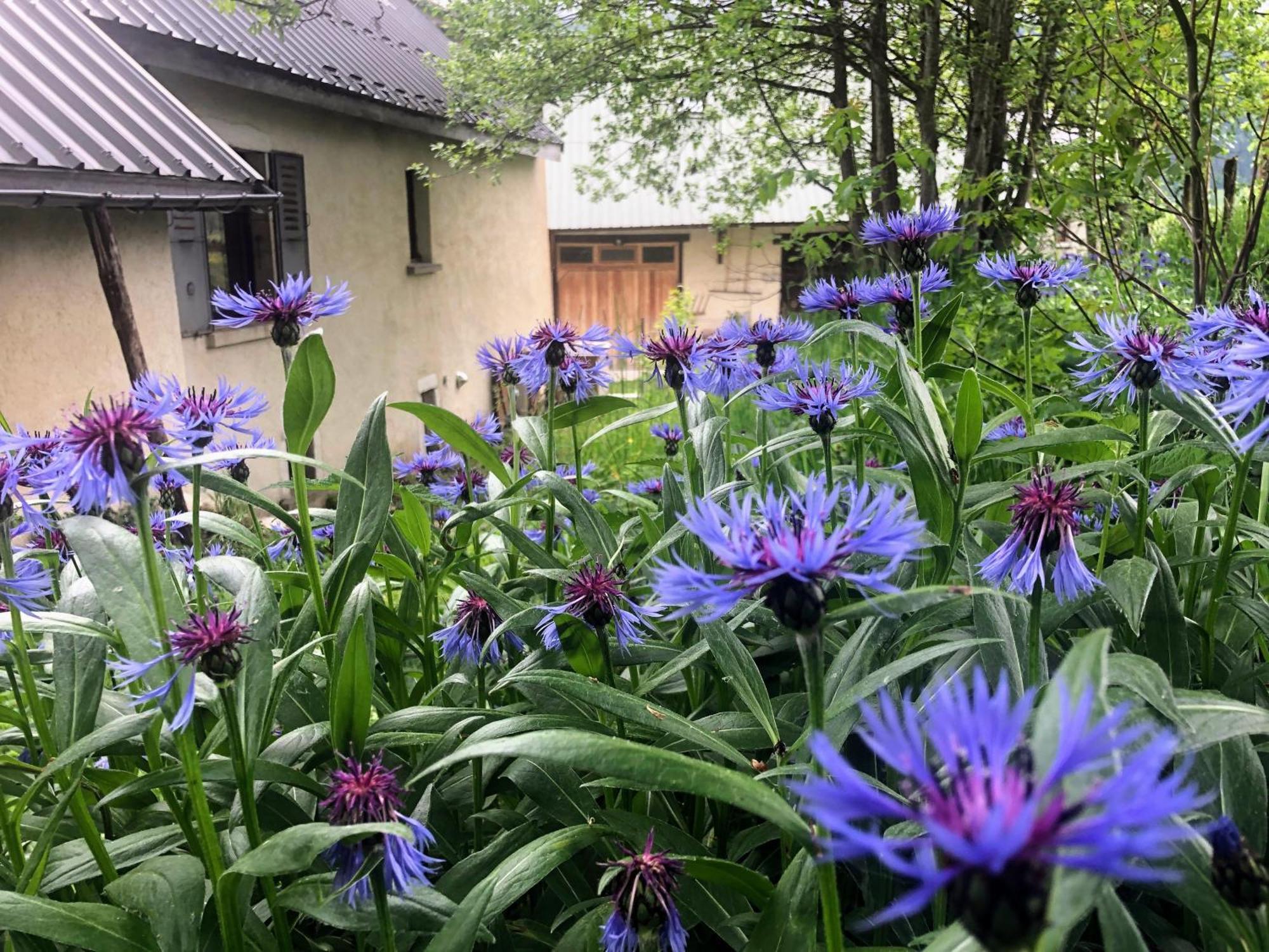 Ferme Des Deux Freres, Autrans, Vercors Экстерьер фото